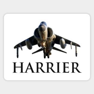 Sea Harrier Jump Jet Magnet